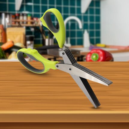 Multifunction Vegetable Stainless Steel Herbs Scissor with 5 Blades (1 Pc)