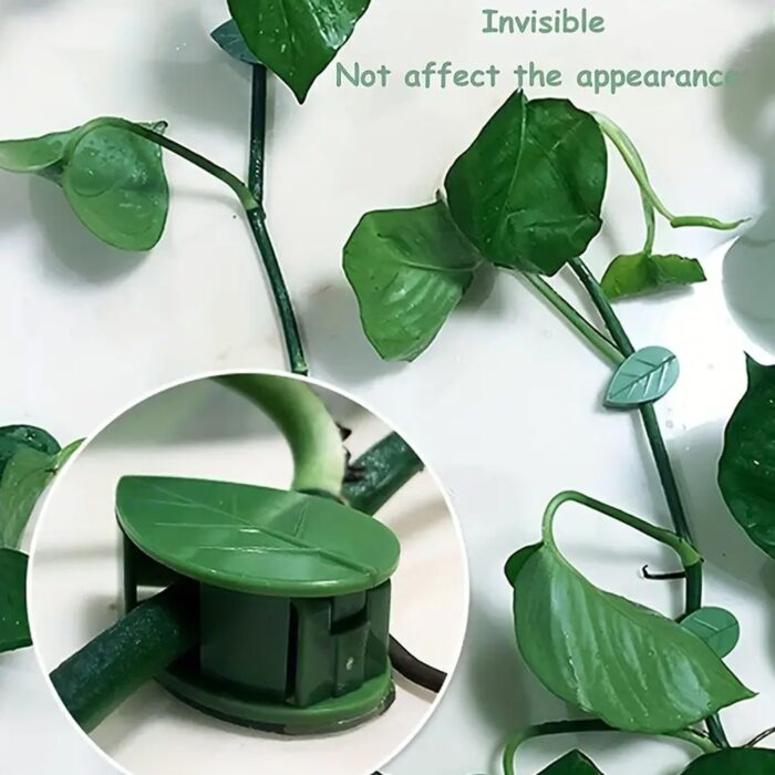 Plant Climbing Wall Fixture Clip Self-Adhesive Hook Vines Traction Invisible Stand Green Plant Clip Garden Wall Clip Plant Support Binding Clip Plants for Indoor Outdoor Decoration (30 Pcs Set) - Image 2