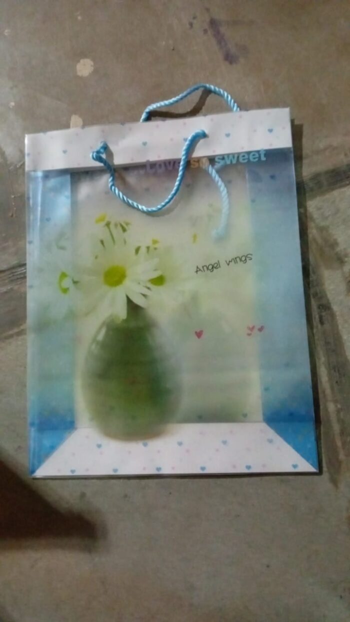 Plastic Transparent Bag With Handle (1 Pc / 34 x 26 Cm) - Image 8