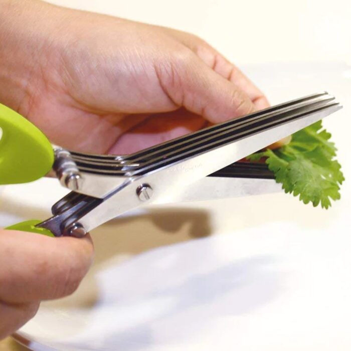 Multifunction Vegetable Stainless Steel Herbs Scissor with 5 Blades (1 Pc) - Image 6