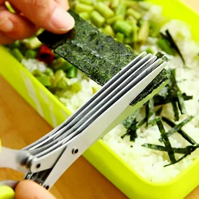 Multifunction Vegetable Stainless Steel Herbs Scissor With 5 Blades (1 Pc) - Image 4