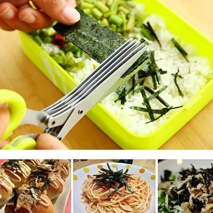Multifunction Vegetable Stainless Steel Herbs Scissor with 5 Blades (1 Pc) - Image 6