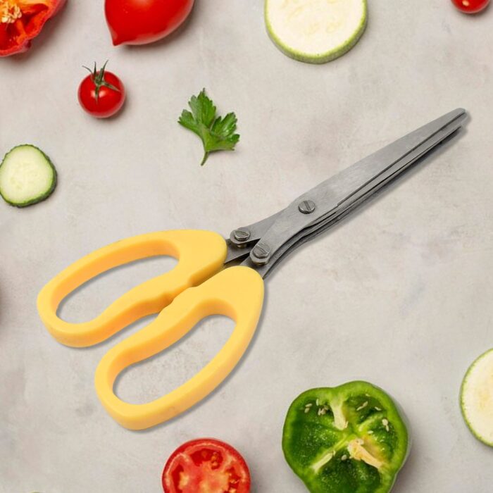 Multifunction Vegetable Stainless Steel Herbs Scissor With 3 Blades (1 Pc)