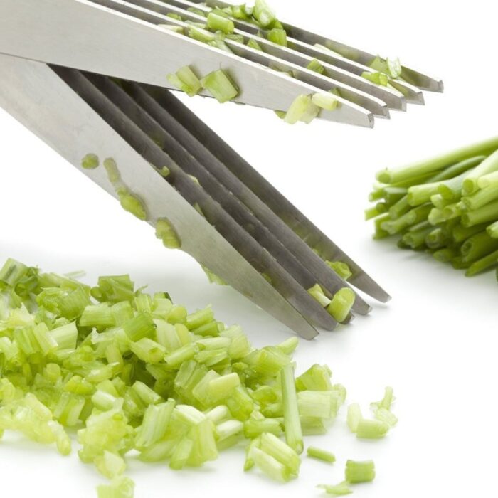 Multifunction Vegetable Stainless Steel Herbs Scissor with 5 Blades (1 Pc) - Image 6