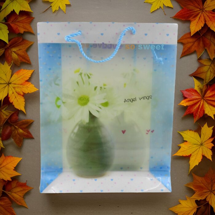 Plastic Transparent Bag With Handle (1 Pc / 34 x 26 Cm) - Image 4