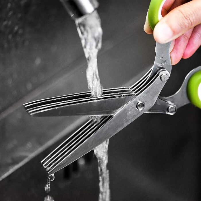 Multifunction Vegetable Stainless Steel Herbs Scissor with 5 Blades (1 Pc) - Image 4
