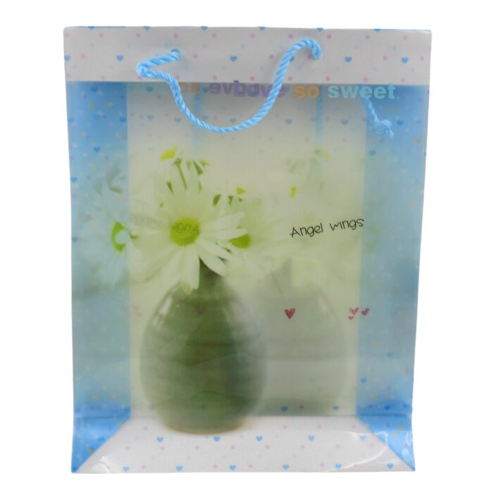 Plastic Transparent Bag With Handle (1 Pc / 34 x 26 Cm) - Image 5