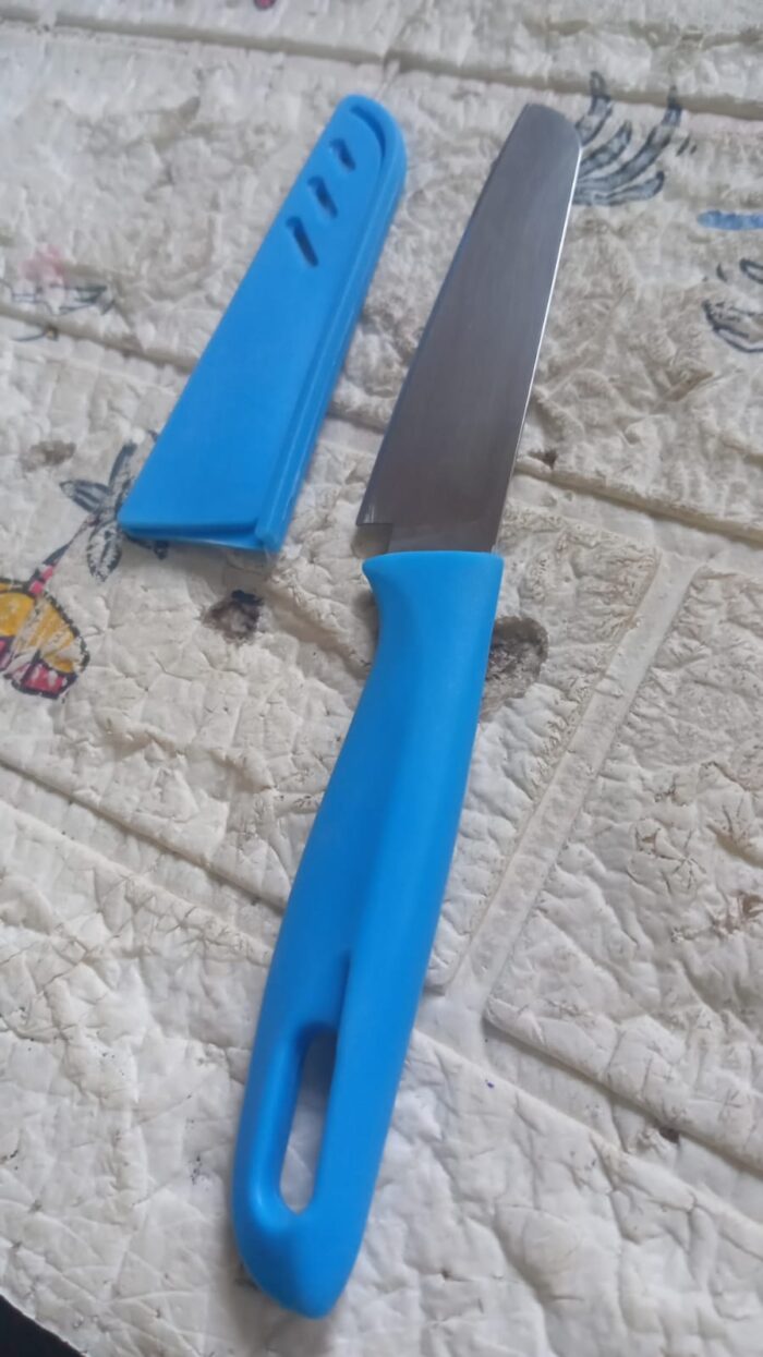 Stainless Steel Knife For Kitchen Use, Knife Set, Knife & Non-Slip Handle With Blade Cover Knife, Fruit, Vegetable,Knife Set (1 Pc) - Image 6