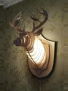 3D Wooden Deer Head Wall Lamp | Artistic LED Wall Décor Light