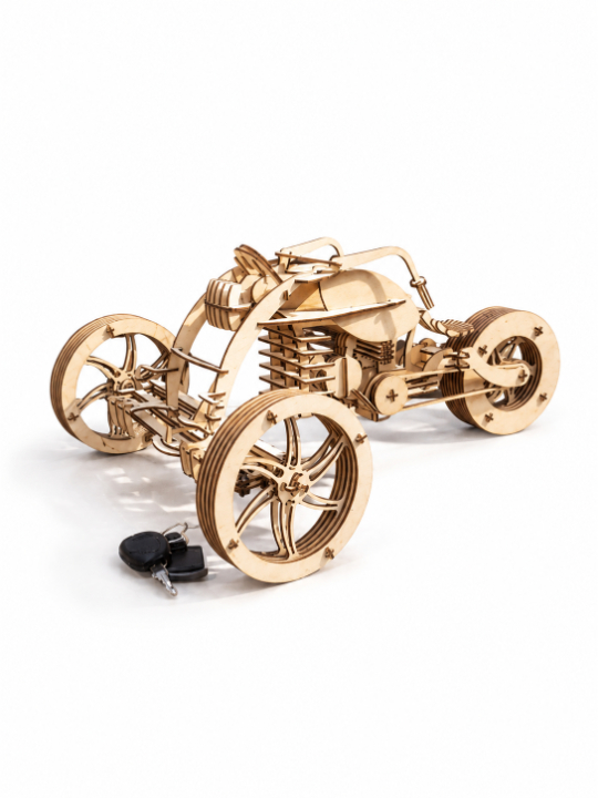 Futuristic Mechanical Wooden Trike Model 2