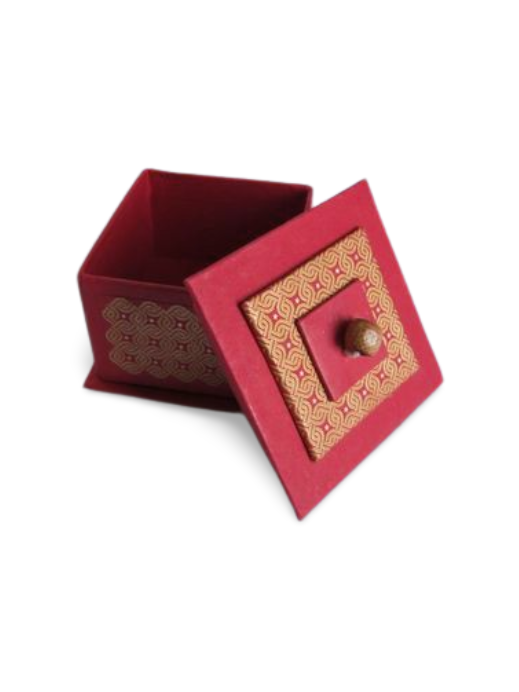 portrait,-white-bg-+-shadow-designify (33)